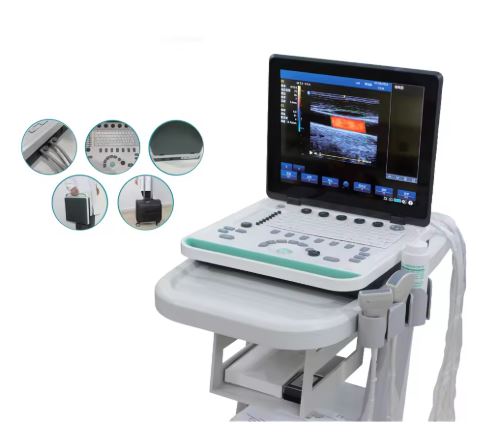 Color Doppler USG Portable Ultrasound Scanner 15-Inch Laptop Machine, Linear/Convex Probe, Clinical Diagnostic Use