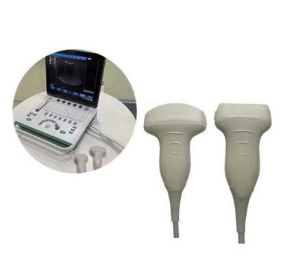 Color Doppler USG Portable Ultrasound Scanner 15-Inch Laptop Machine, Linear/Convex Probe, Clinical Diagnostic Use